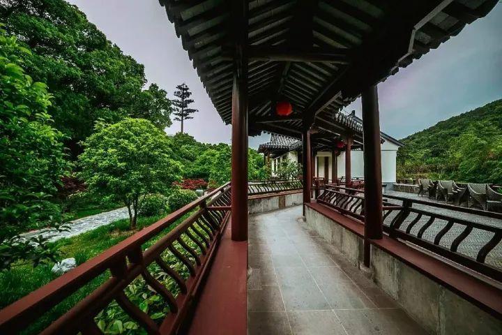 运河今日速览|国际旅游今年有望恢复至疫情前水平