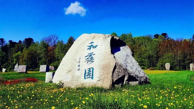 92一94年单位漏交养老保险怎么办-你问我答平台,提供专业问题解答