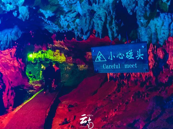 哈罗出行遭用户投诉车牌不符与人车不符问题，哈罗出行对此是如何回应的？