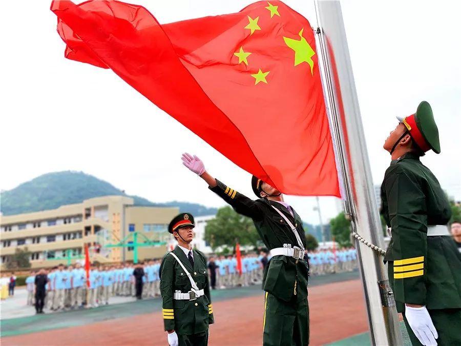 乌龟产蛋期都不吃东西吗？游戏画面