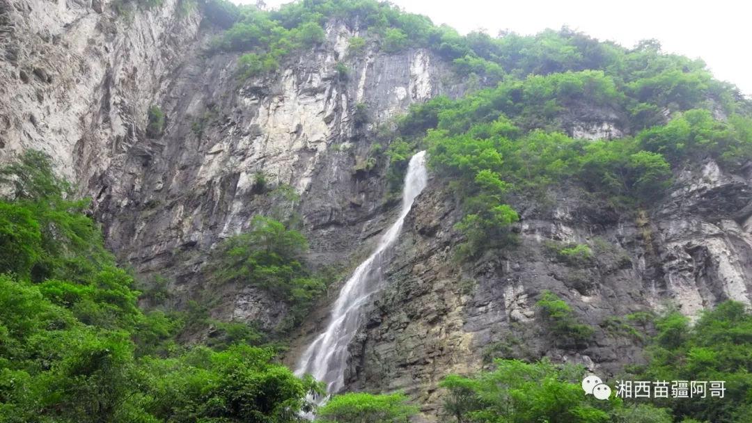 拯救昆虫群