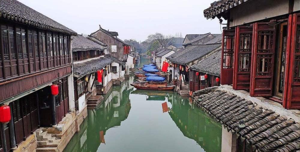 细胞分裂5